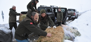 Şırnak'ta yaban hayvanları için doğaya yem bırakıldı
