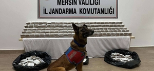 Mersin'de 61 bin 700 kaçak makaron ele geçirildi