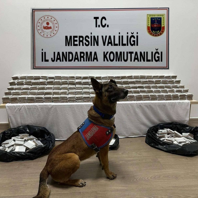 Mersin'de 61 bin 700 kaçak makaron ele geçirildi