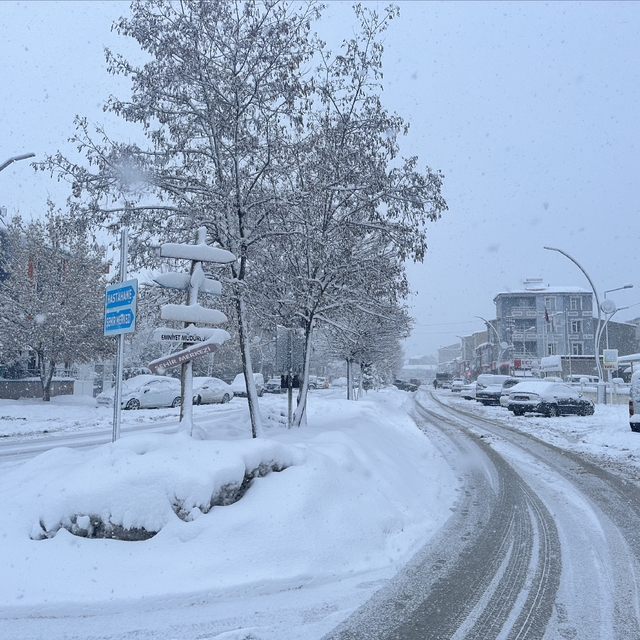 Van, Bitlis ve Muş'ta 403 yerleşim birimine ulaşım sağlanamıyor