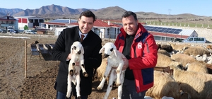 Keban Kaymakamı Atalık üreticileri ziyaret etti 