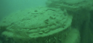 Hopa açıklarında hayalet ağ temizliği sırasında gemi batığı bulundu