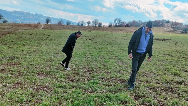 Oğuzlar'ın ekili arazilerinde fare popülasyonu kontrol edildi