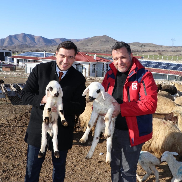 Keban Kaymakamı Atalık üreticileri ziyaret etti