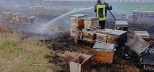 Salihli'deki ot yangınında arı kovanları kullanılamaz hale geldi