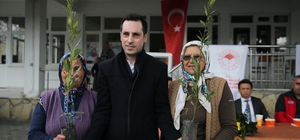 Hibe olarak dağıtılan defne fideleri çiftçilere gelir kapısı oldu