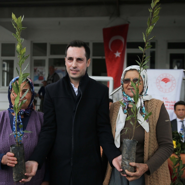 Hibe olarak dağıtılan defne fideleri çiftçilere gelir kapısı oldu