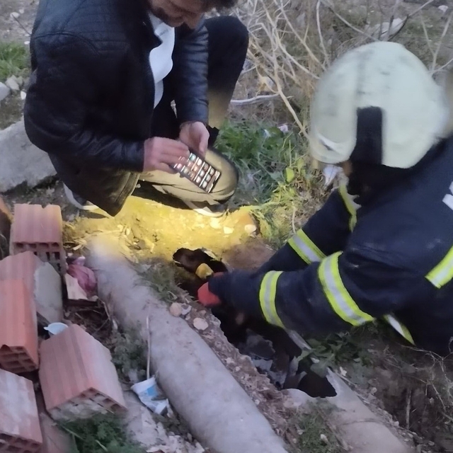 Salihli'de direğin içinde sıkışan köpek itfaiye ekibince kurtarıldı