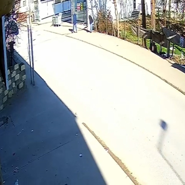 Caddede karşılaştığı eniştesini vuran kayınbiradere ev hapsi (Yeniden)