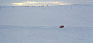 Ağrı'da kardan yolu kapanan mezrada rahatsızlanan kadın 6 saatlik çalışma s...