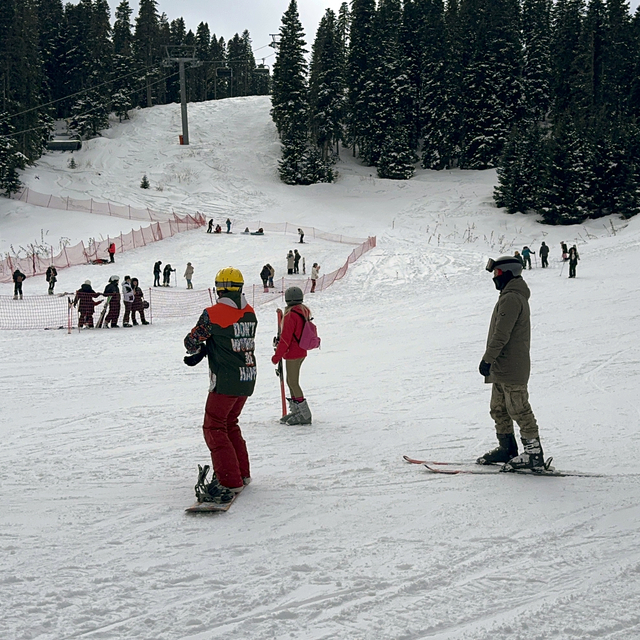 Ilgaz Dağı'nda işletmeciler de ziyaretçiler de yarıyıl tatilinden memnun ka...