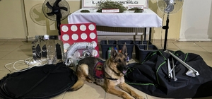 Sakarya'da iklimlendirme sistemiyle uyuşturucu yetiştiren kişi yakalandı