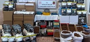 Antalya'da 335 bin makaron yakalandı