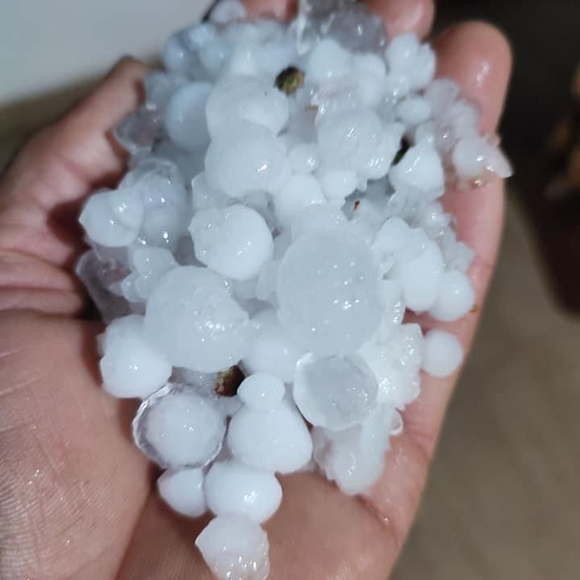 Datça ve Milas'ta dolu hayatı olumsuz etkiledi