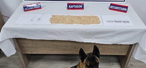 Hatay'da evinde 2 bin 50 uyuşturucu hap bulunan şüpheli gözaltına alındı