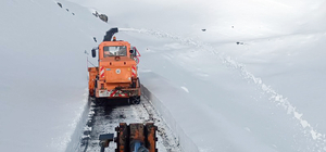 Şırnak'ta 2 bin 230 rakımlı Tanin Geçidi'nde 1 metreyi bulan karlı yol temi...