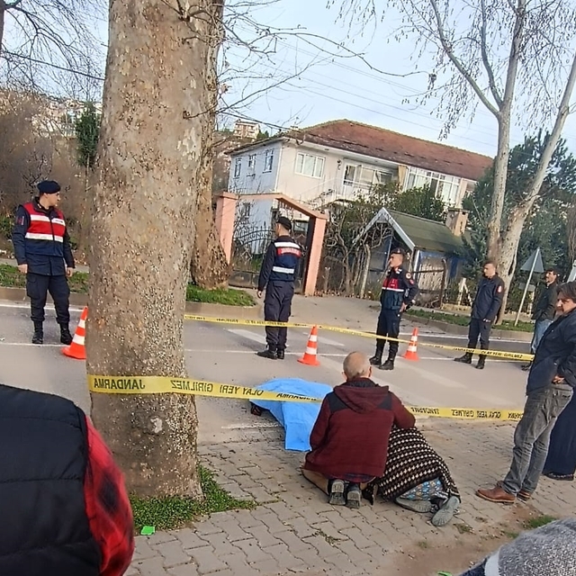 Yalova'da ağaca çarpan motosikletin sürücüsü öldü