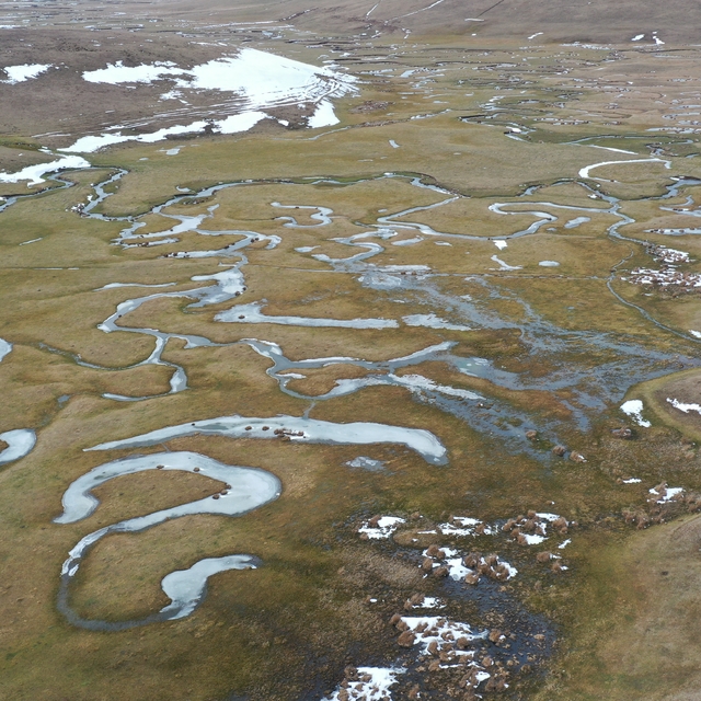 Menderesleriyle ünlü Perşembe Yaylası'na 2 milyon ziyaretçi bekleniyor