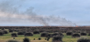 GÜNCELLEME - Kızılırmak Deltası Kuş Cenneti'nde çıkan yangın kontrol altına...