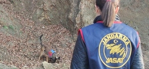 Hatay'da kayıp hamile kadın ve 2 çocuğunun cesedi toprağa gömülü bulundu