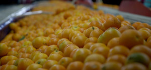 Muğla'da tarımsal üretim ve ihracatından elde edilen gelir arttı