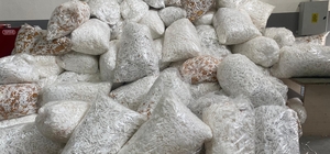 Adana'da 22 milyon 500 bin makaron ele geçirildi