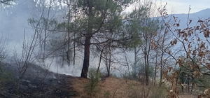 Niksar'da çıkan örtü yangını söndürüldü