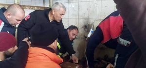 Mezbahada kolunu makineye kaptıran işçi yaralandı