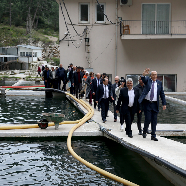 Muğla Büyükşehir Belediye Başkan adayı Ayaydın, Seydikemer'de alabalık üret...