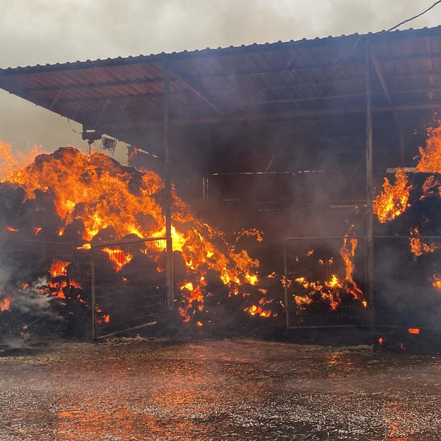 Çanakkale'de sağanak; Kepez Çayı taştı (2)