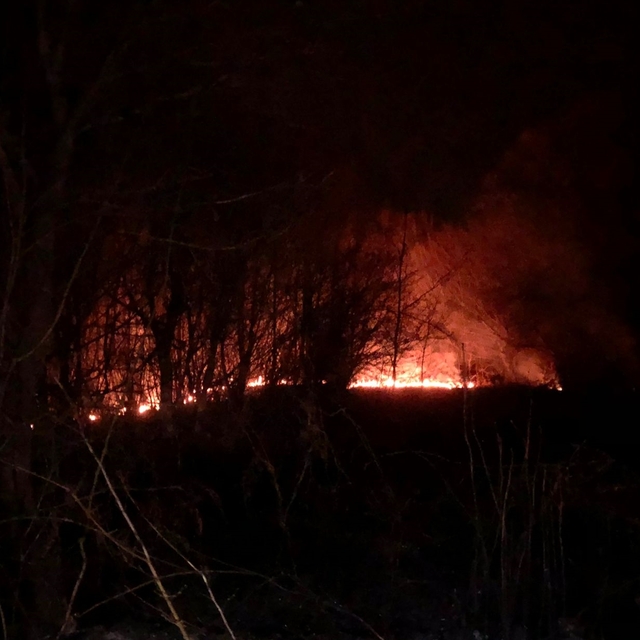 Zonguldak'ta çıkan örtü yangını söndürüldü