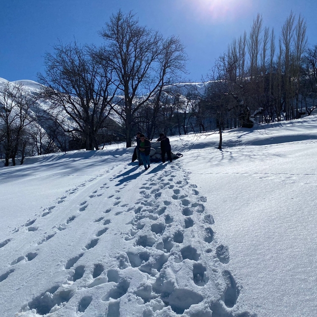 Kar altında kalan samanları çıkartıp, hayvanları için taşıdılar