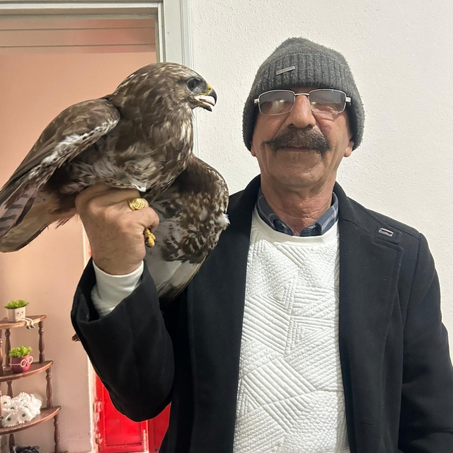 Gaziantep'te yaralı bulunan kızıl şahin tedavi altına alındı