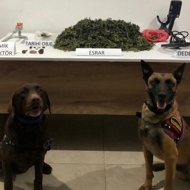 Afyonkarahisar'da uyuşturucu operasyonunda 3 şüpheli yakalandı