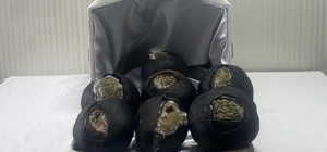 Şanlıurfa'da yolcu otobüsünde 7 kilogram uyuşturucu ele geçirildi