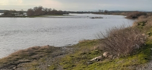 Çanakkale'de Karamenderes Çayı'ndaki taşkın nedeniyle tarlalar su altında kaldı