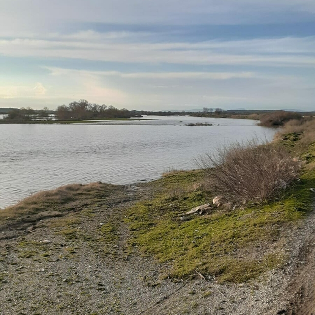 Çanakkale´de debisi yükselen Karamenderes Çayı taştı