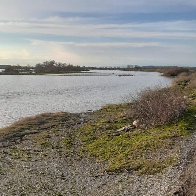 Çanakkale'de Karamenderes Çayı'ndaki taşkın nedeniyle tarlalar su altında k...