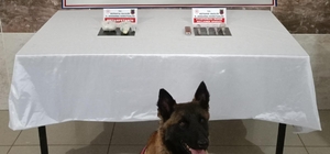 Kütahya'da uyuşturucuyla yakalanan 2 zanlı tutuklandı