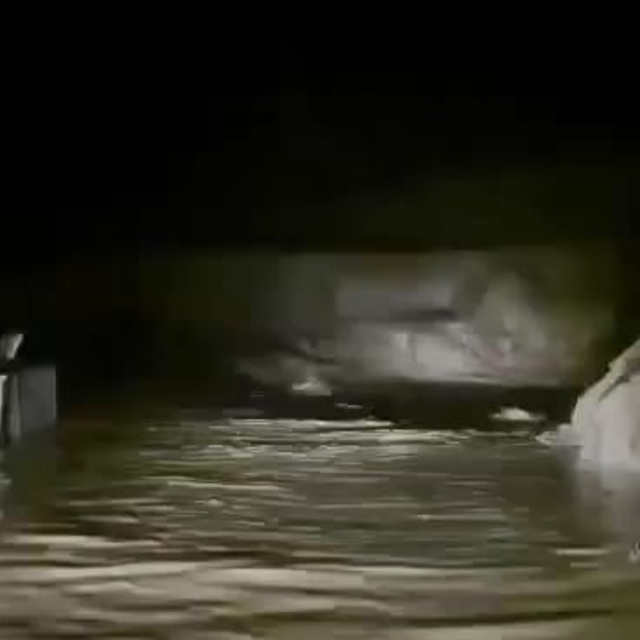 Diyarbakır'da dere taştı; ev ve ahırları su bastı (2)