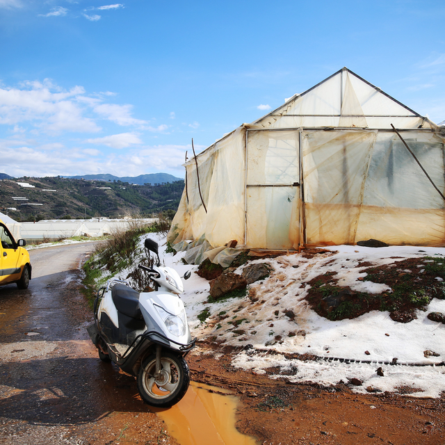 Alanya'da dolu seralara zarar verdi