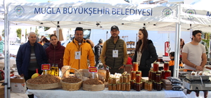 Muğla'da Datça Badem Çiçeği Festivali başladı