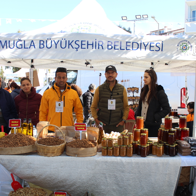 Muğla'da Datça Badem Çiçeği Festivali başladı