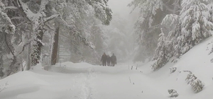 Kütahya'da ormanda kar ve sis nedeniyle mahsur kalan 3 kesim işçisi kurtarıldı