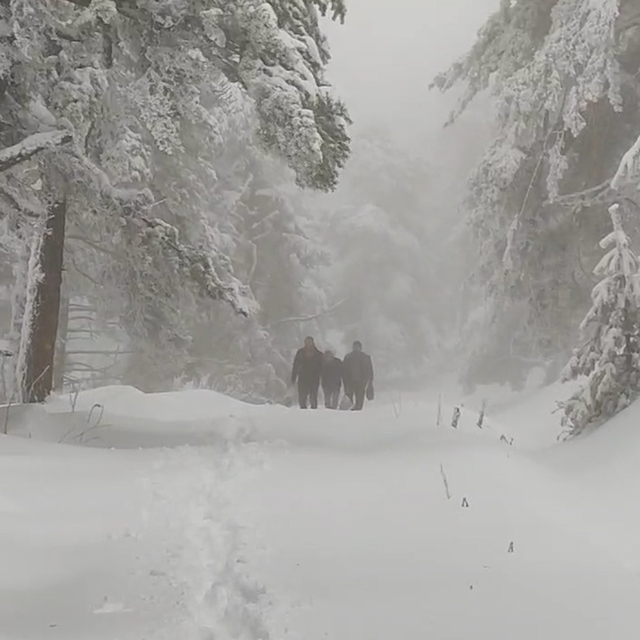 Kütahya'da ormanda kar ve sis nedeniyle mahsur kalan 3 kesim işçisi kurtarı...