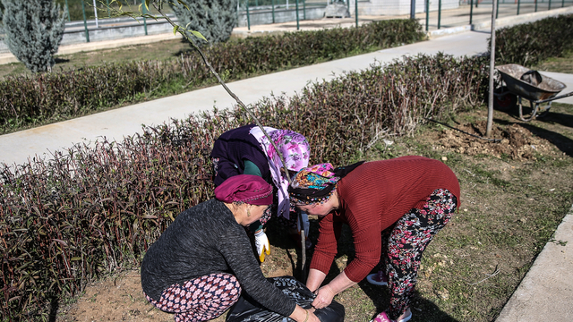 Mersin'de sağlık hizmeti alan vatandaşlar hastane bahçesinde fidan dikti