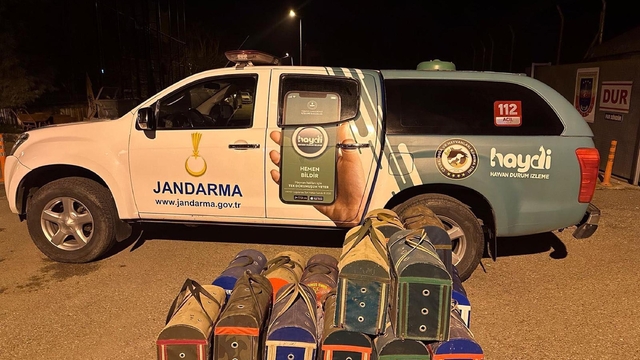 Horoz dövüşüne suçüstü; 51 kişiye idari para cezası