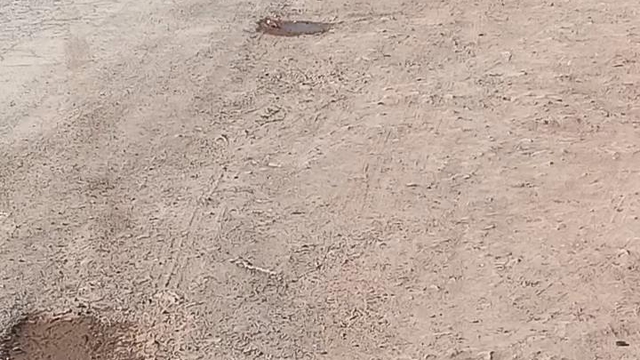 ATV'sine bağladığı köpeğini sürükledi; o anlar kamerada