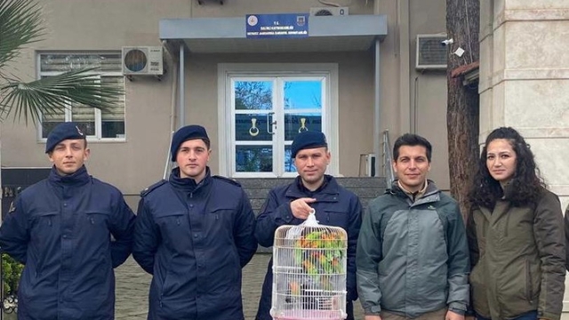 Manisa'da satışı yasak papağan ticareti yapan kişiye 112 bin lira ceza kesildi