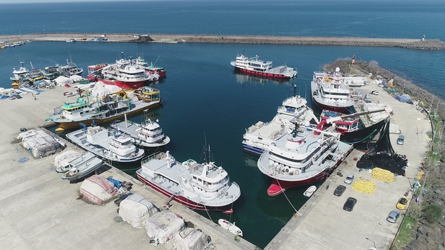 Karadeniz'de hamsi göçtü; ağlar erken toplandı